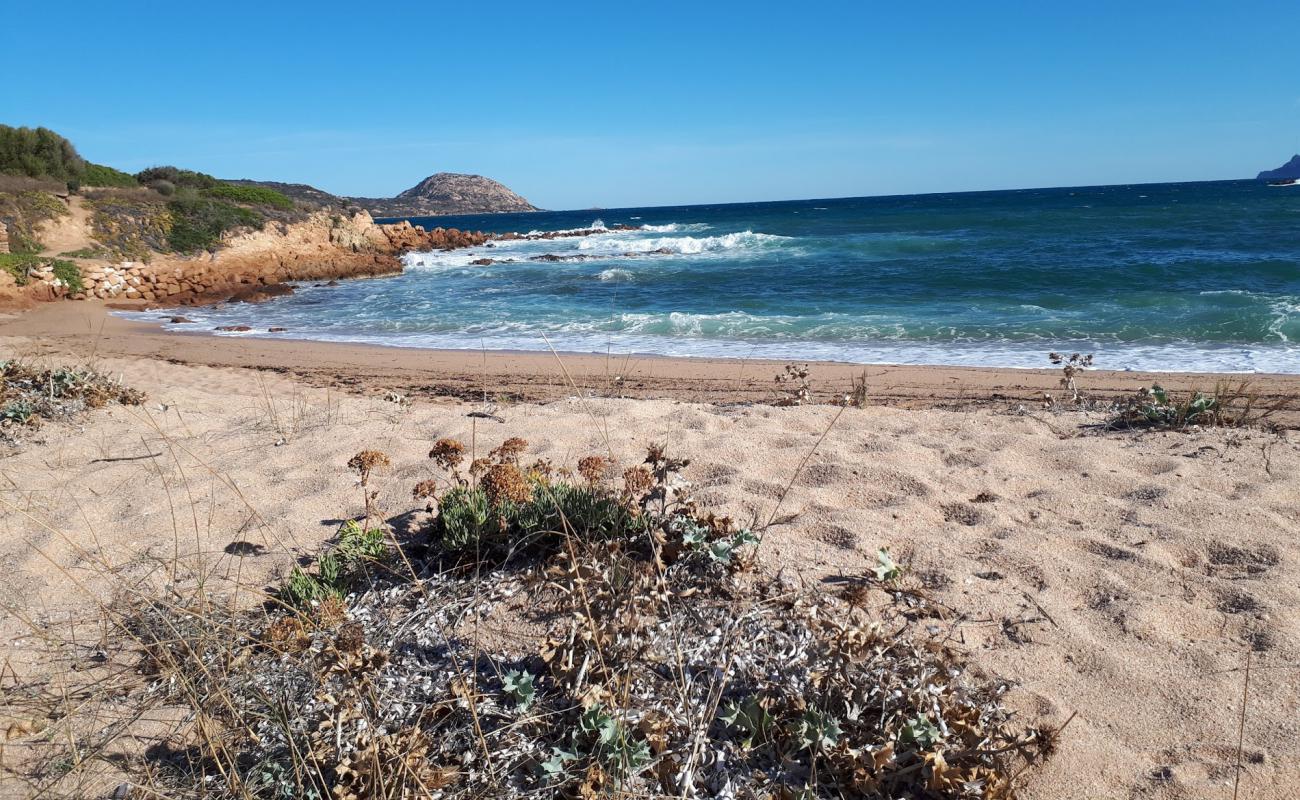 Photo de Spiaggia la Finosa avec sable brun de surface