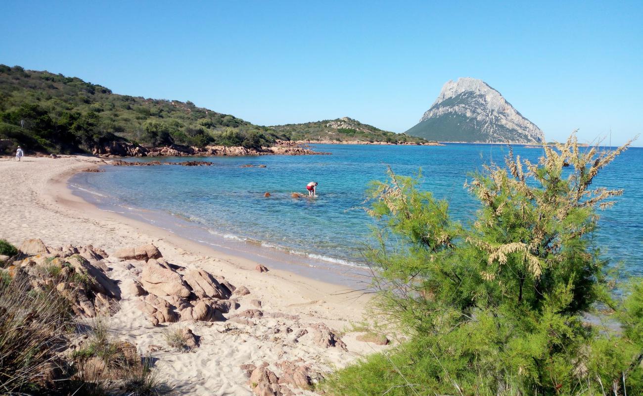 Photo de Plage de Costa Dorata avec sable lumineux de surface