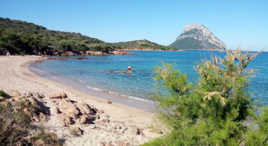 Plage de Costa Dorata