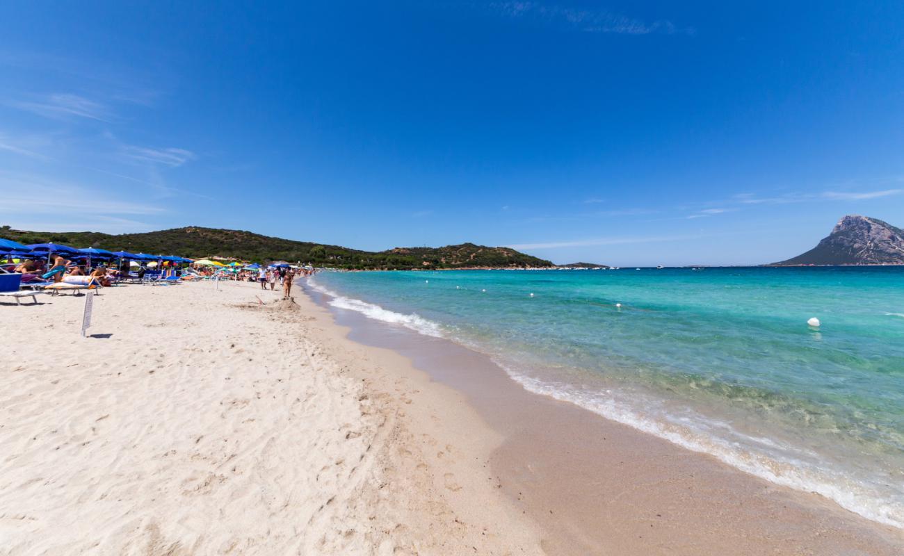 Photo de Plage de Porto Taverna avec sable fin et lumineux de surface