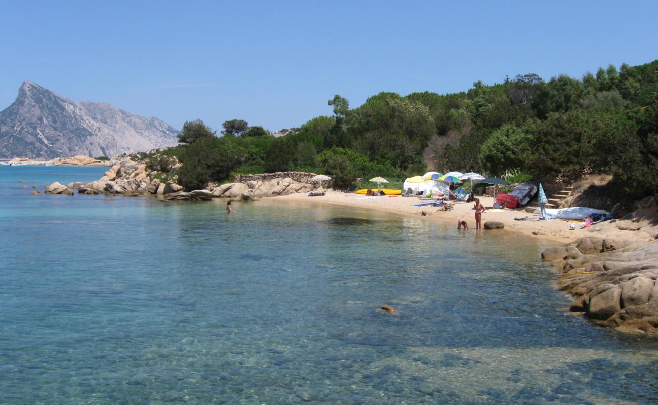 Photo de Spiaggia dei Tori avec sable brun de surface