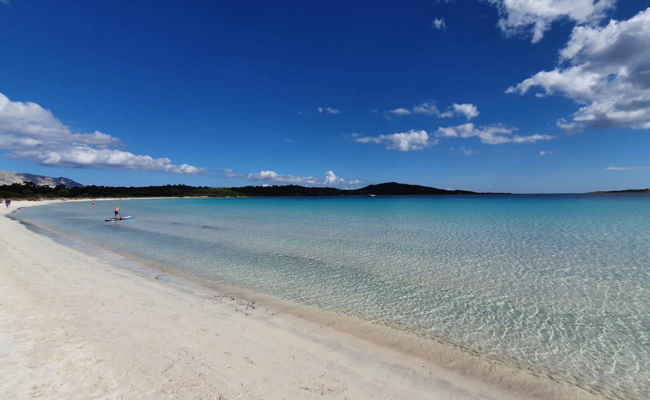 Photo de Plage de Cala Brandinchi avec sable fin et lumineux de surface