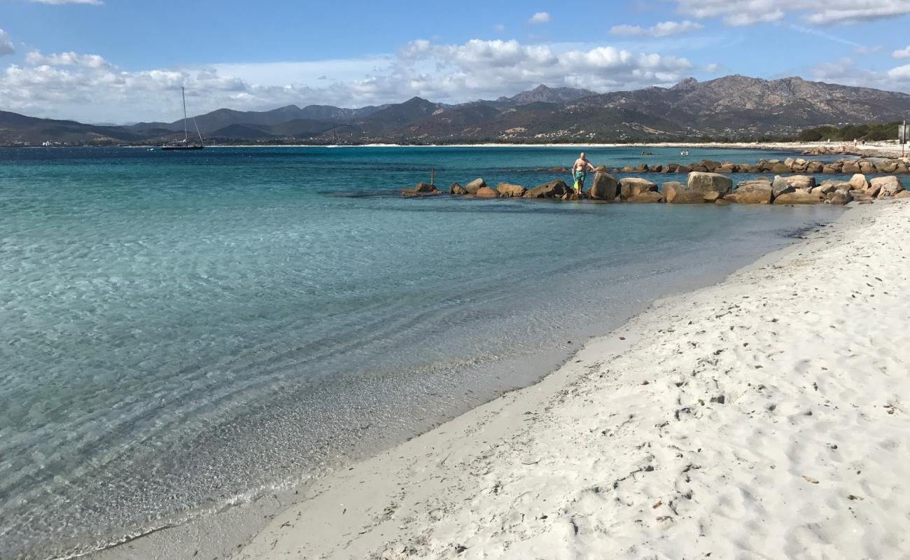 Photo de Marina di Puntaldia Beach avec sable fin blanc de surface
