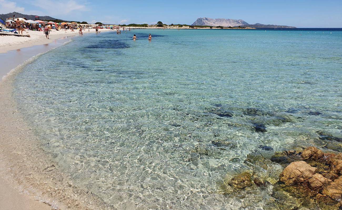 Photo de Plage d'Isuledda avec sable fin et lumineux de surface