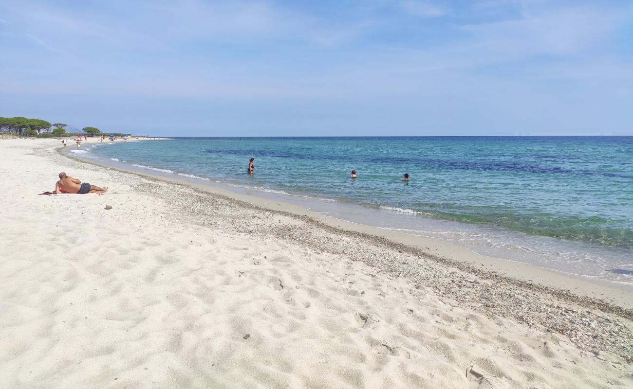 Photo de Spiaggia per Cani avec sable beige fin de surface
