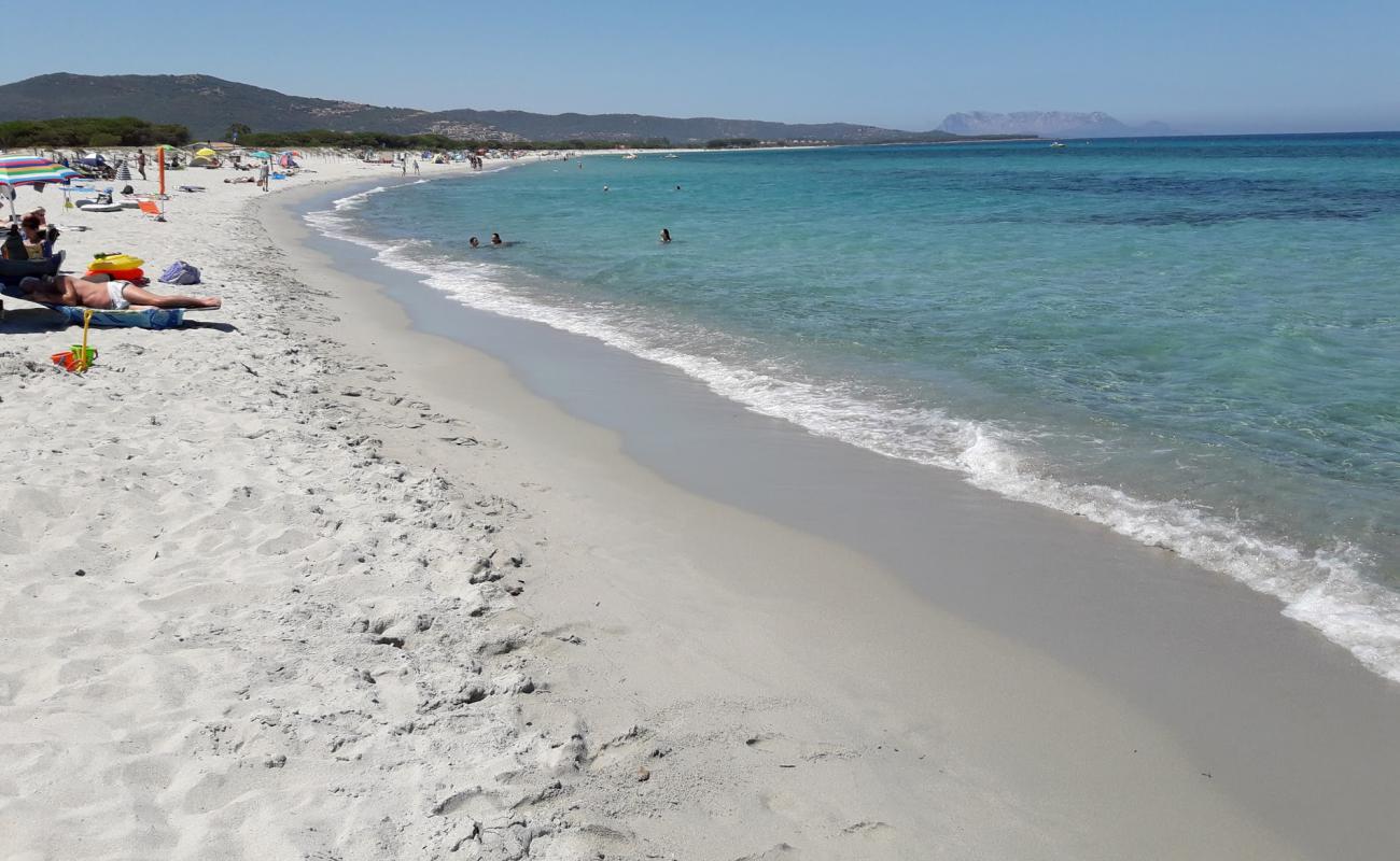 Photo de Plage de Budoni avec sable fin et lumineux de surface