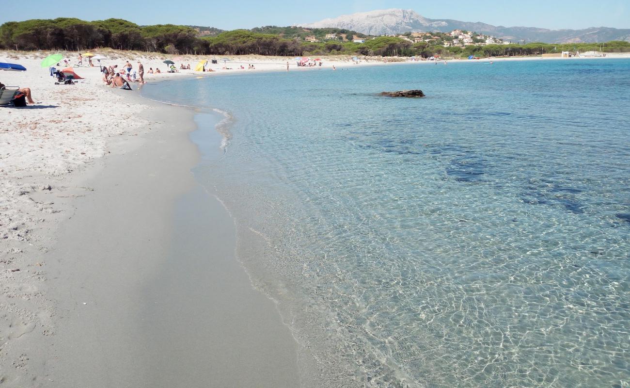 Photo de Caletta Beach avec sable beige fin de surface