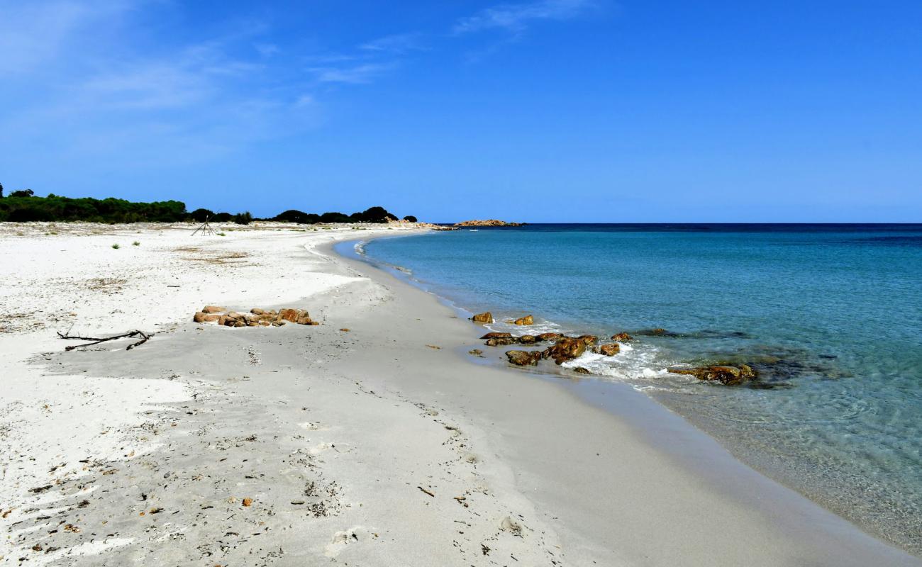 Photo de Su Cannatzellu Beach avec sable fin blanc de surface