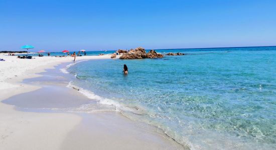 Plage de Berchida