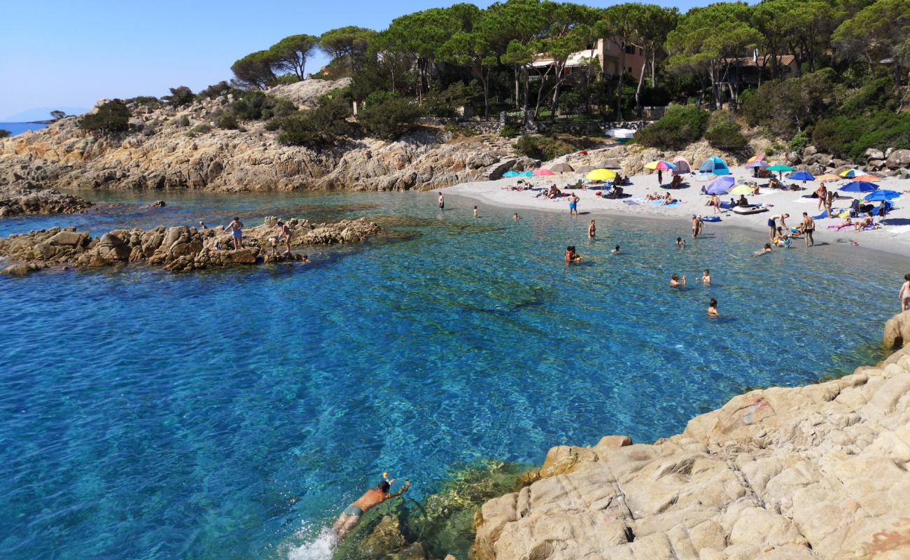 Photo de Spiaggia Di Cala Liberotto avec sable beige fin de surface