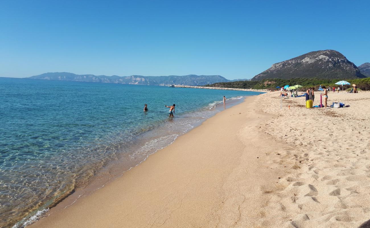 Photo de Spiaggia Su Barone avec sable beige de surface