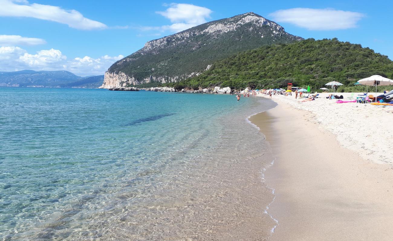 Photo de Spiaggia di Cartoe avec sable beige fin de surface
