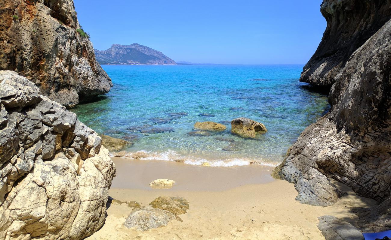 Photo de Cala di Oddoana avec sable beige fin de surface