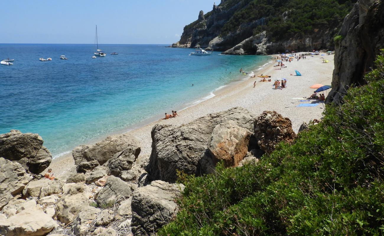 Photo de Spiaggia di Cala Sisine avec petits galets blancs de surface