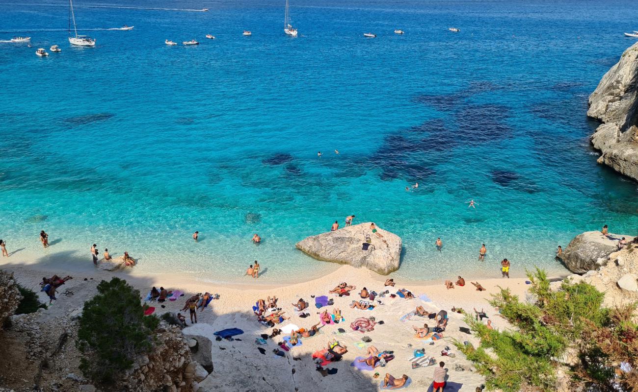 Photo de Cala Goloritze avec caillou fin blanc de surface