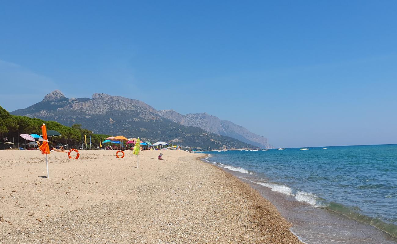 Photo de Lido delle Rose avec sable lumineux de surface