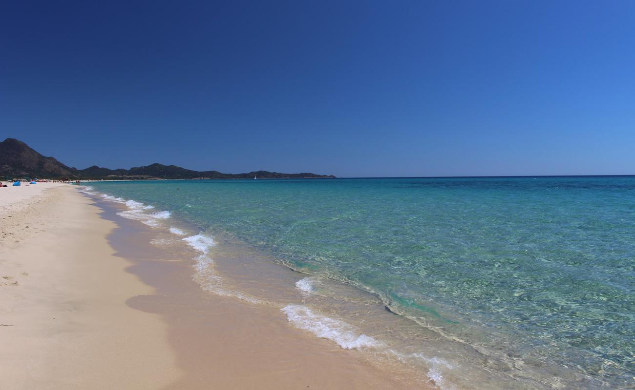 Photo de Plage de Piscina Rei avec sable beige fin de surface