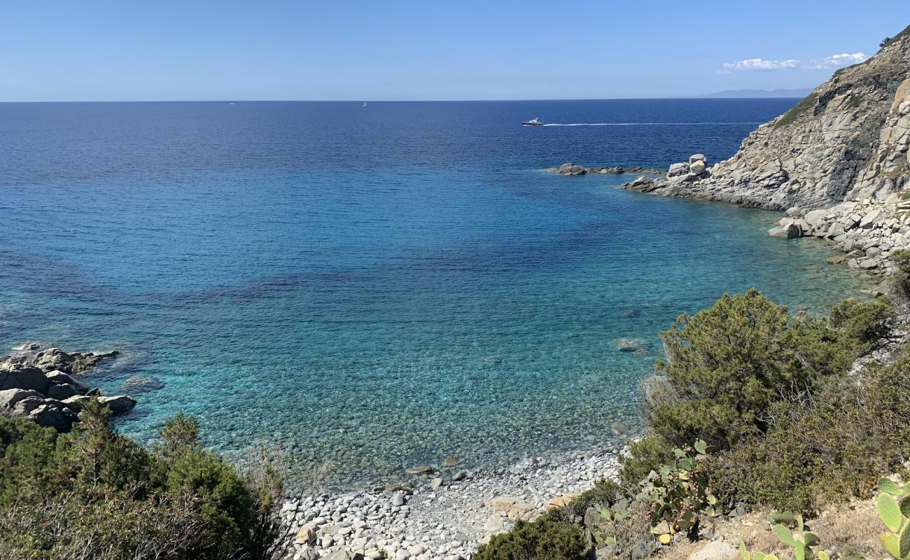 Photo de Cala Delfino Beach avec roches de surface