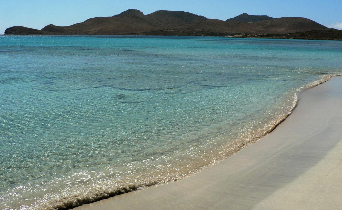 Photo de Saffron Port avec sable beige fin de surface