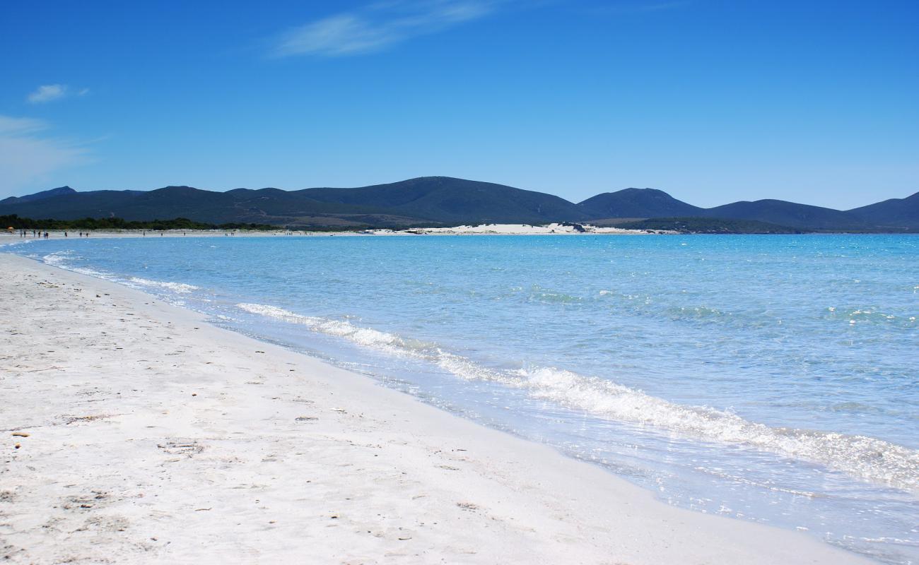 Photo de Plage de Porto Pino avec sable fin blanc de surface