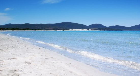 Plage de Porto Pino