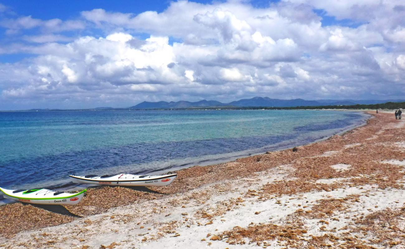 Photo de Spiaggia Is Solinas avec sable gris de surface