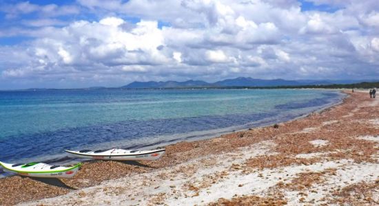 Plage Wild Wind Sardinia