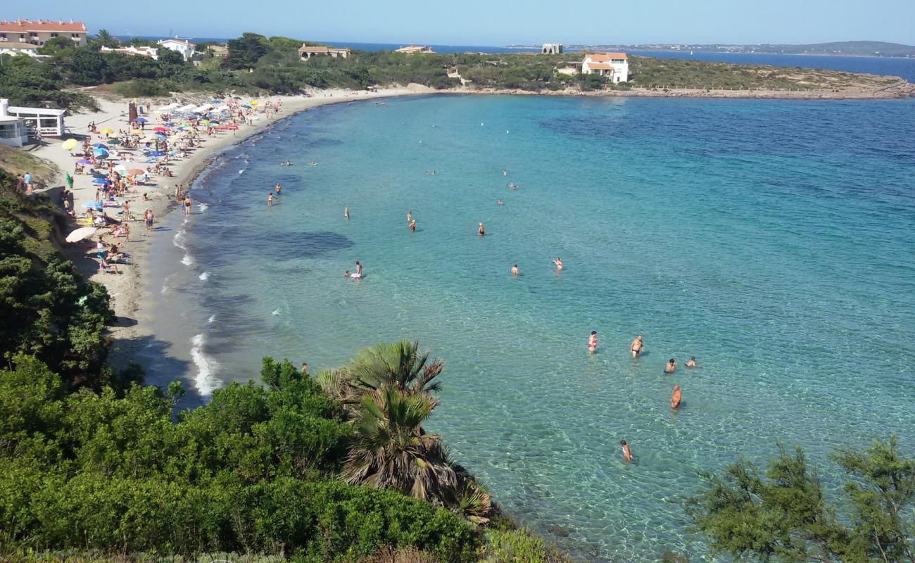 Photo de Plage de Sottotorre avec sable fin et lumineux de surface