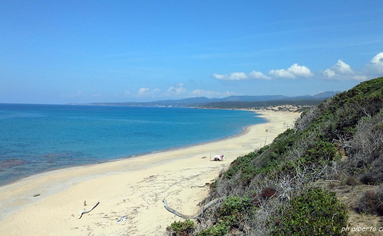 Photo de Tuppa Niedda beach avec sable lumineux de surface