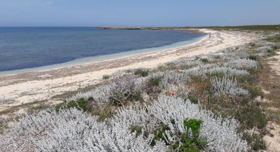 Caogheddas beach