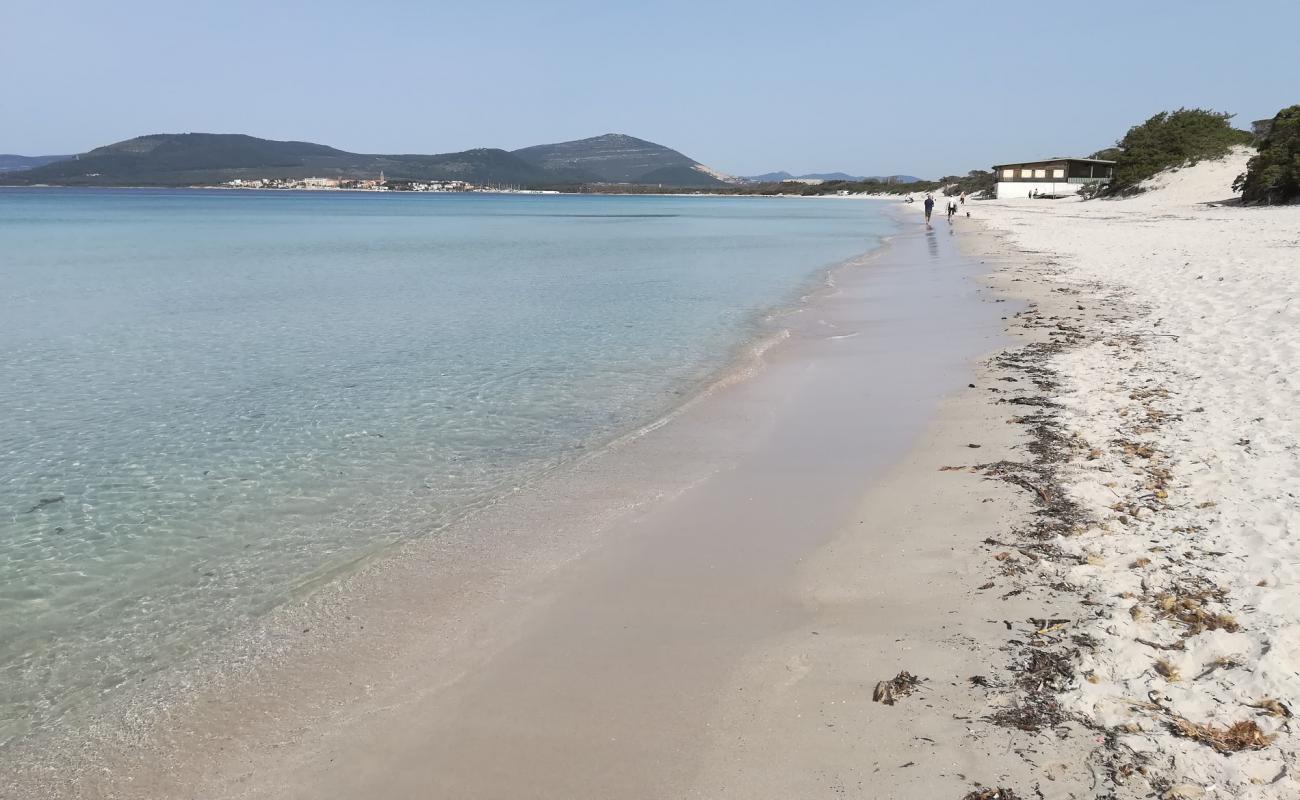 Photo de Fertilia beach avec sable lumineux de surface