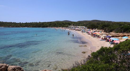 Plage de Lazzaretto