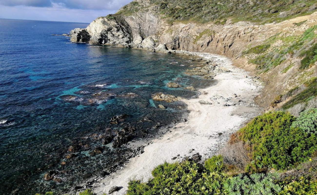 Photo de Cala di Punta Agliastroni avec sable brillant et rochers de surface