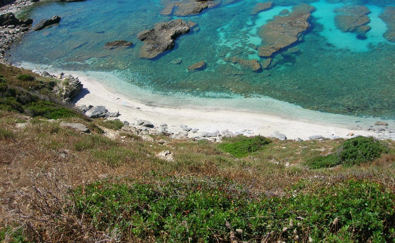 Photo de Cala Puntello avec petits galets beige de surface
