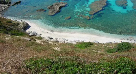 Cala Puntello