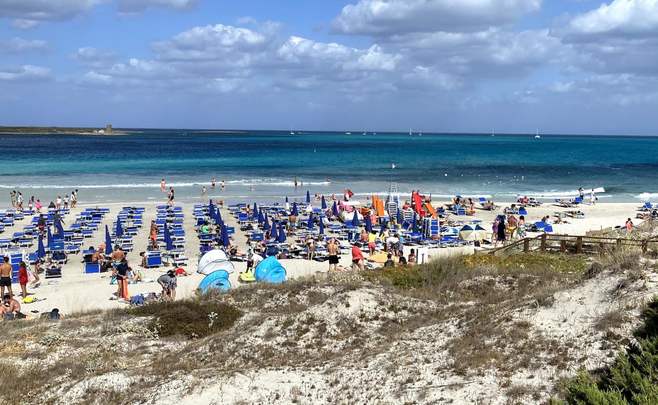 Photo de Plage de Pelosetta avec sable beige fin de surface