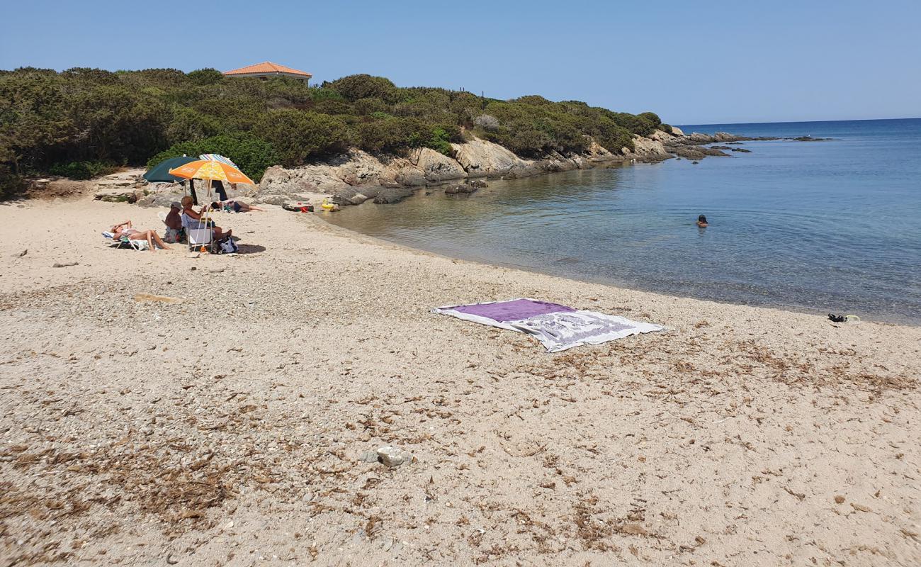 Photo de Cala Lupo avec sable lumineux de surface