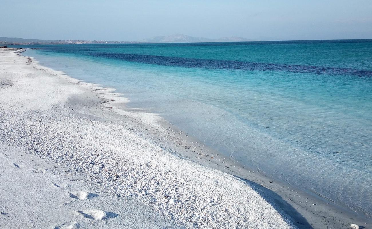 Photo de Plage de Pazzona avec petits galets blancs de surface