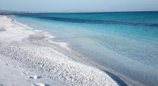 Plage de Pazzona