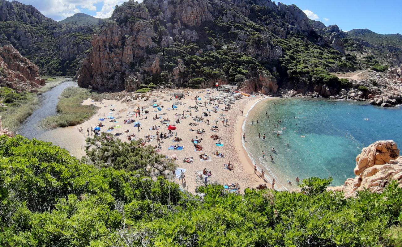Photo de Spiaggia di Cala li Cossi avec sable beige de surface