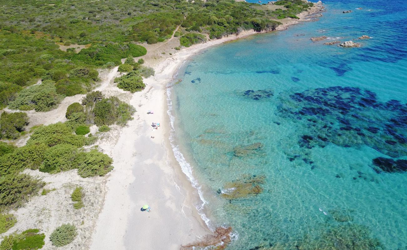 Photo de Torre Vignola Mare avec sable brun de surface
