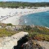 Spiaggia La Liccia