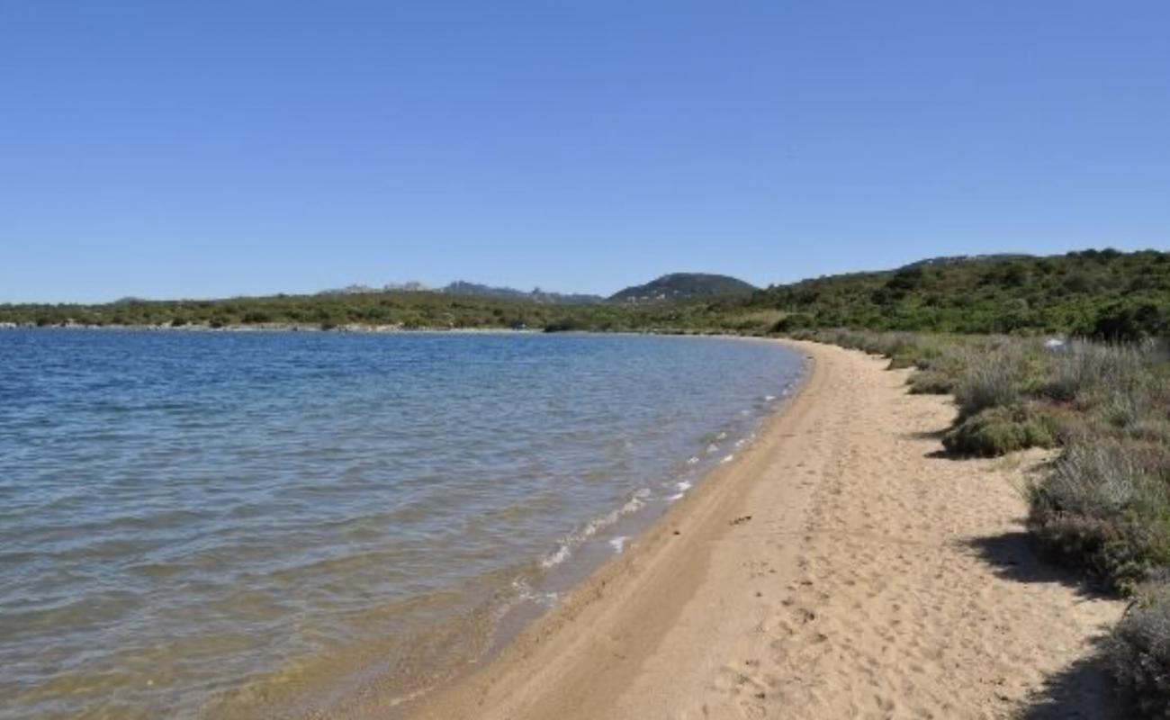 Photo de Stagno della Coluccia avec sable brun de surface