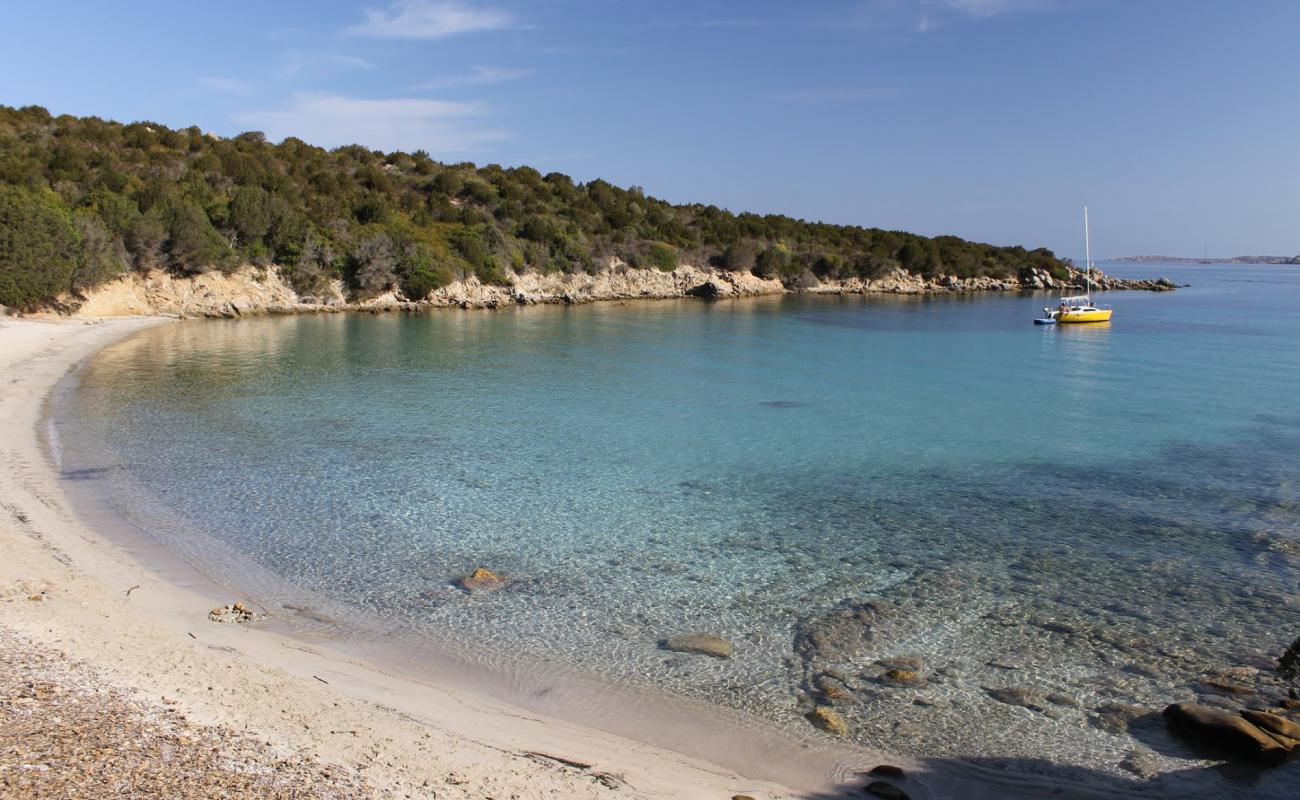 Photo de Spiaggia Macchia Mala avec sable beige de surface