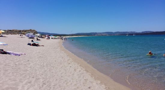 Plage de Barrabisa