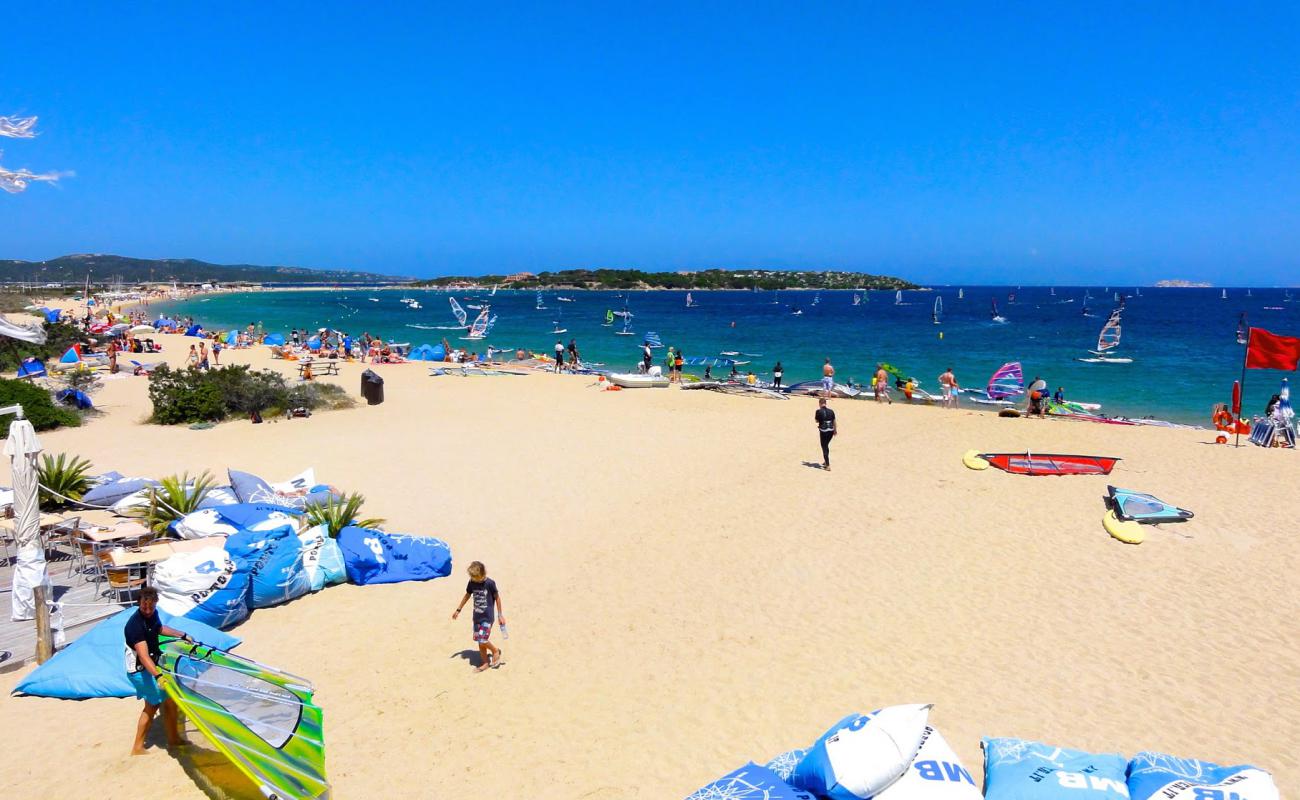 Photo de Spiaggia di Porto Pollo avec sable beige de surface