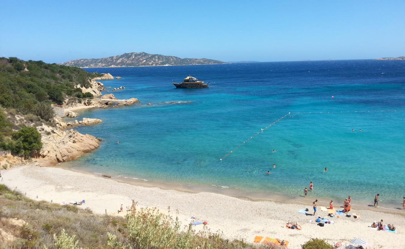 Photo de Spiaggia di Cala di Trana avec sable beige de surface