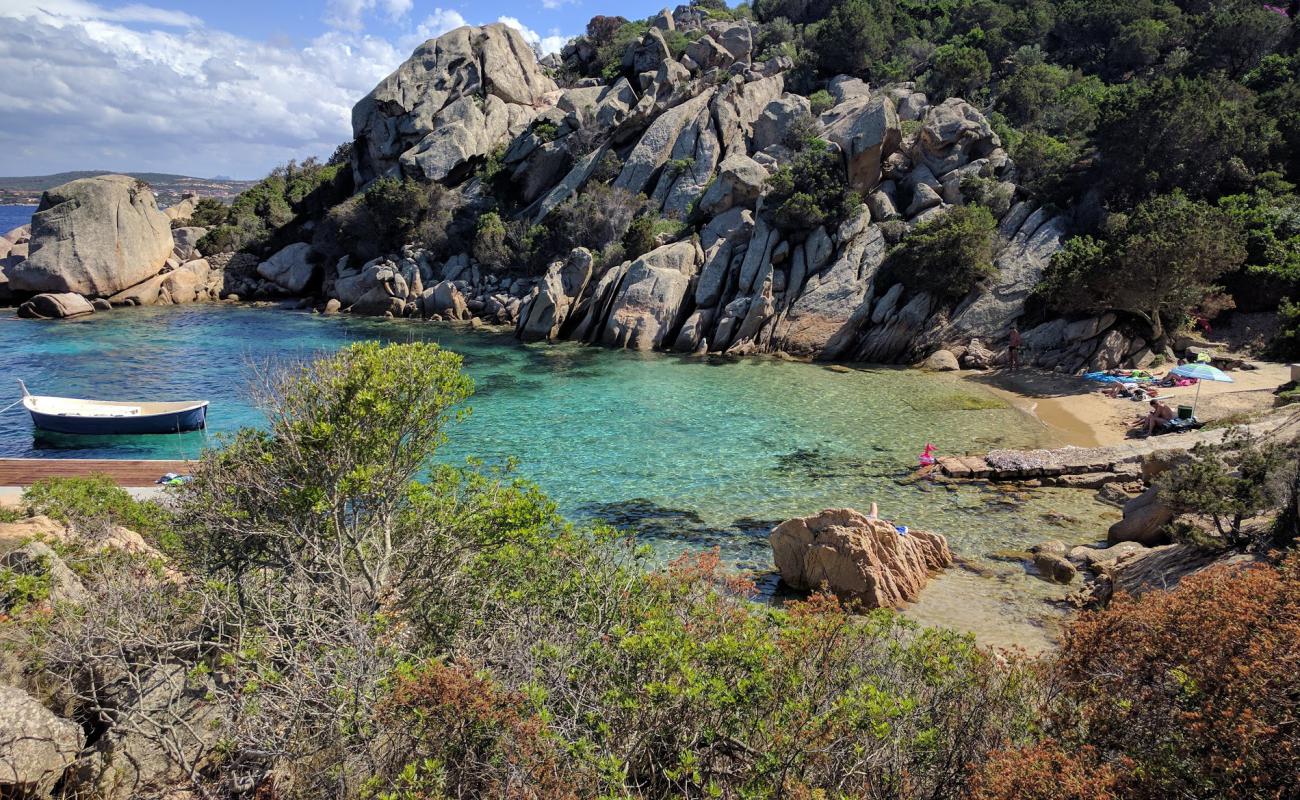 Photo de Spiaggia di Cala Martinella avec sable brun de surface