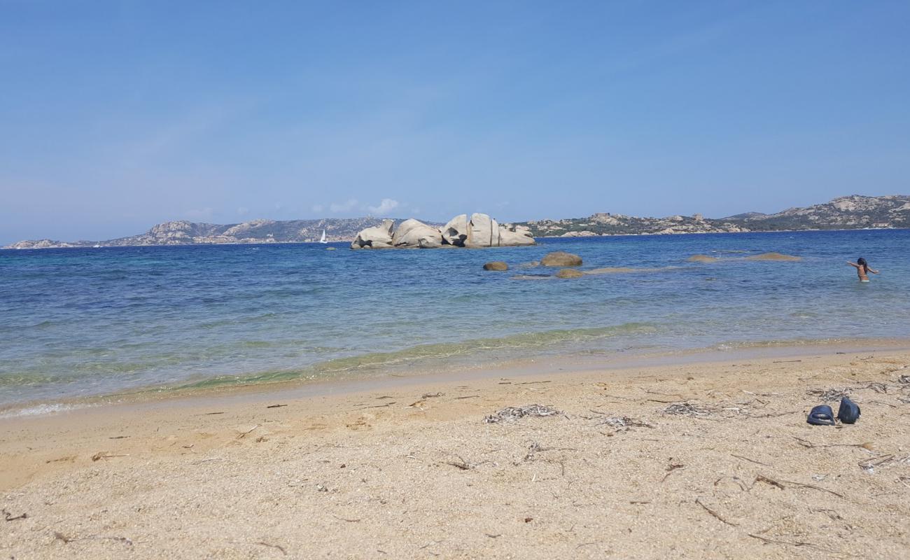 Photo de Baia Saraceno avec caillou fin clair de surface