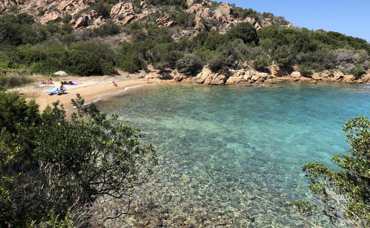 Photo de Punta Cardinalino avec sable lumineux de surface